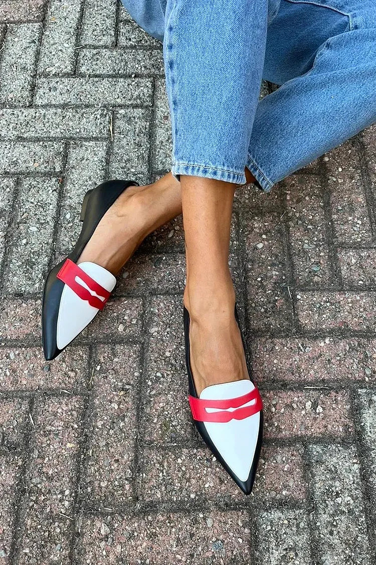 VIELLA | TWO-TONE POINTED SLIPPERS